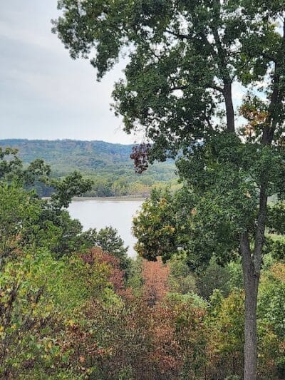 Zaleski State Forest - Zaleski, OH