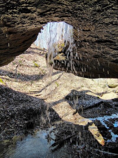 Zaleski State Forest - Zaleski, OH