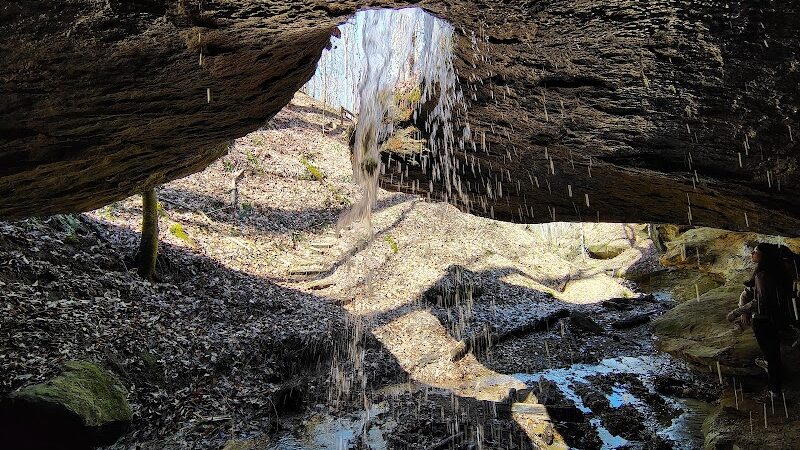 Zaleski State Forest - Zaleski, OH