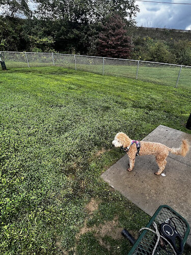 Dog Park at Love's Travel Stops