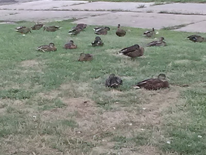 Riverside Park - Zanesville, OH