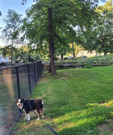 Aberdeen Dog Park