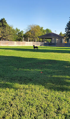 Manor Park Off Leash Dog Park