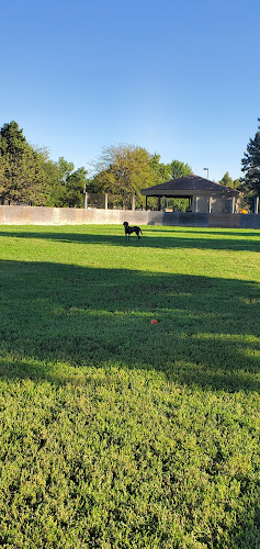 Manor Park Off Leash Dog Park