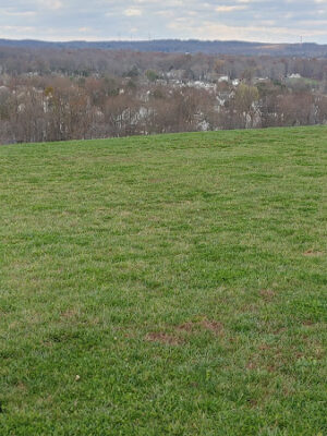 Abingdon Dog Park