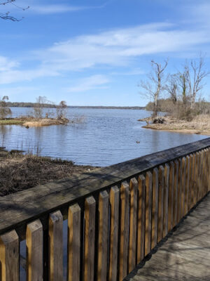 Accokeek Creek Marsh Boardwalk