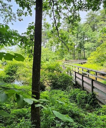 Choctaw Lake - Ackerman, MS