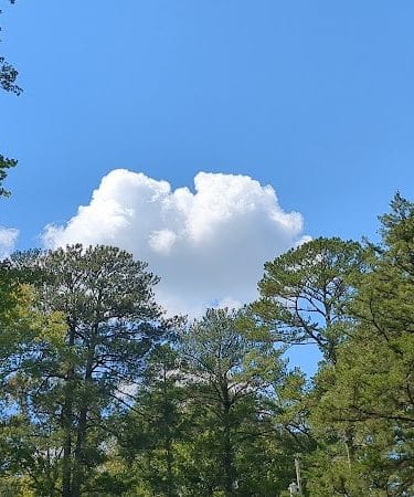 Choctaw Lake - Ackerman, MS