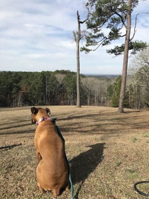 Jeff Busby Park - Ackerman, MS