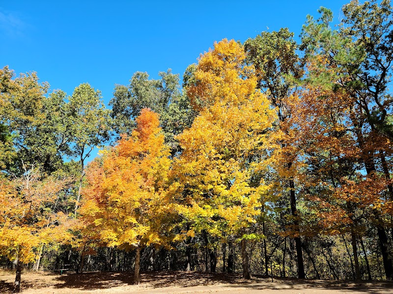 Jeff Busby Park - Ackerman, MS