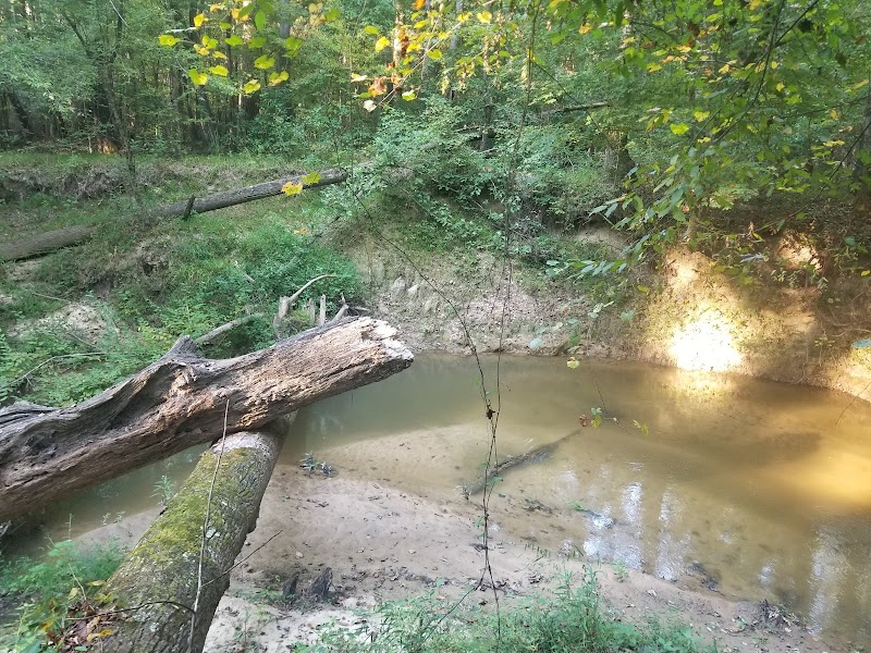Jeff Busby Park - Ackerman, MS