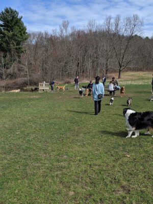 Great Hill Recreation Area