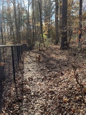 Pitner Road Dog Park - Acworth, GA