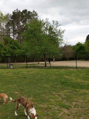Pitner Road Dog Park - Acworth, GA