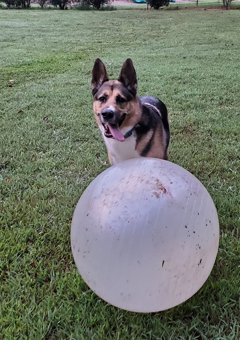 Pitner Road Dog Park - Acworth, GA