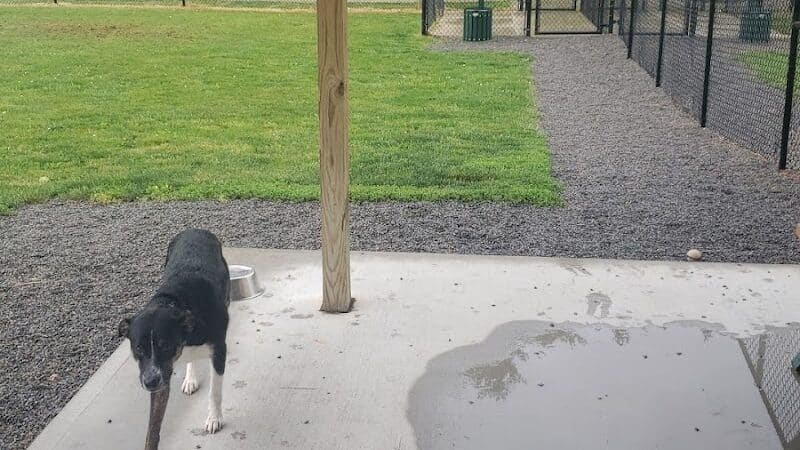 Ada Dog park - Ada,