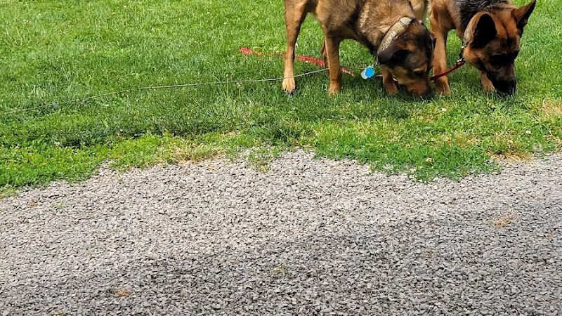 Ada Dog park - Ada,