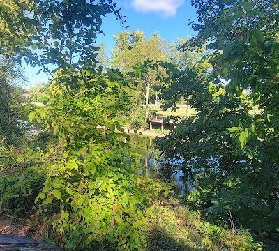 Leonard Park - Ada,