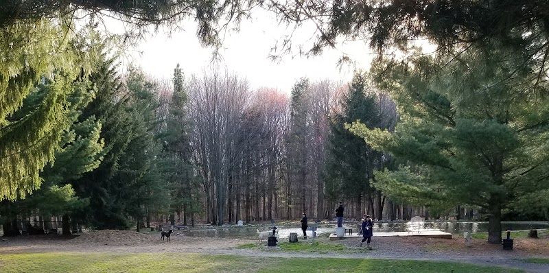 Shaggy Pines Dog Park - Ada, MI