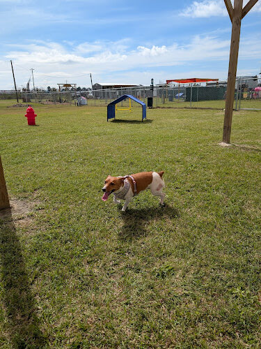 Ardy Mac's Dog Park and Kids Zone