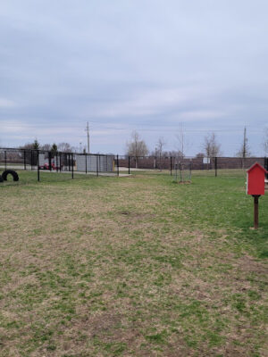 Adel Dog Park