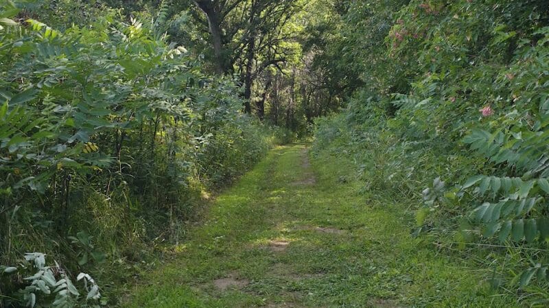 Belwin Conservancy: Stagecoach Prairie - Afton, MN