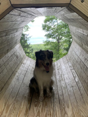 Agnes S. Andreae Nature Preserve
