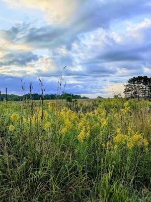 Belwin Conservancy: Stagecoach Prairie