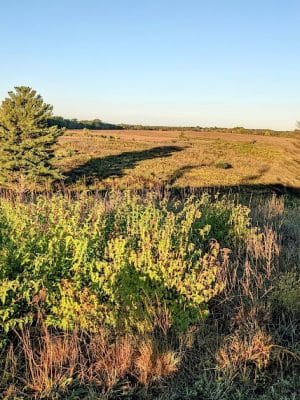 Belwin Conservancy: Stagecoach Prairie