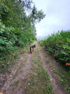 Belwin Conservancy: Stagecoach Prairie