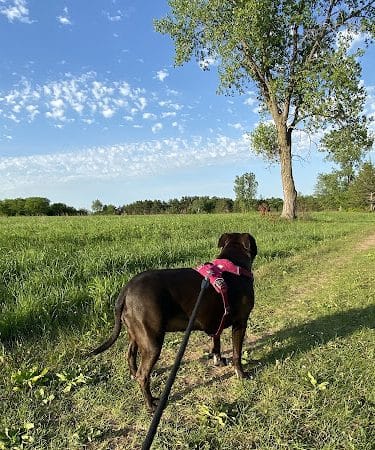 Belwin Conservancy: Stagecoach Prairie - Afton, MN
