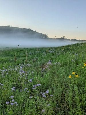 Belwin Conservancy: Stagecoach Prairie