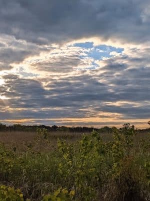 Belwin Conservancy: Stagecoach Prairie