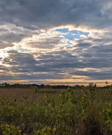 Belwin Conservancy: Stagecoach Prairie - Afton, MN