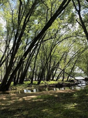Afton State Park Dock and Picnic Area