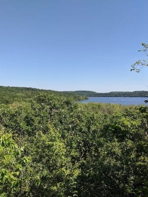 Afton State Park Dock and Picnic Area