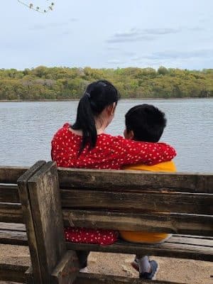 Afton State Park Dock and Picnic Area