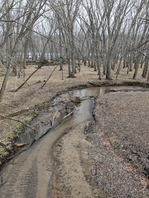 Afton State Park Dock and Picnic Area