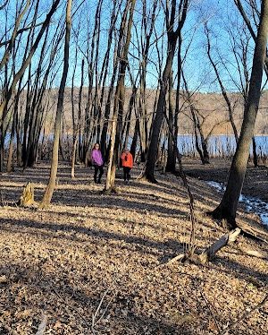 Steamboat Park