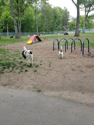Agawam Dog Park