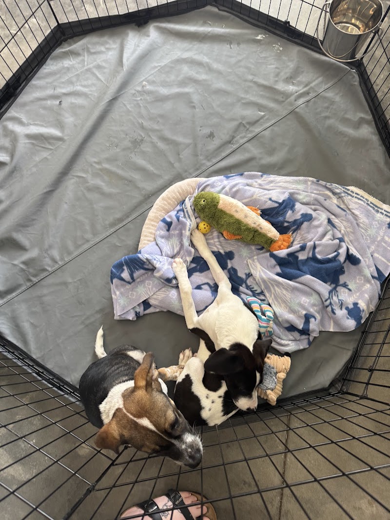 Aiken County Animal Shelter - Aiken, SC