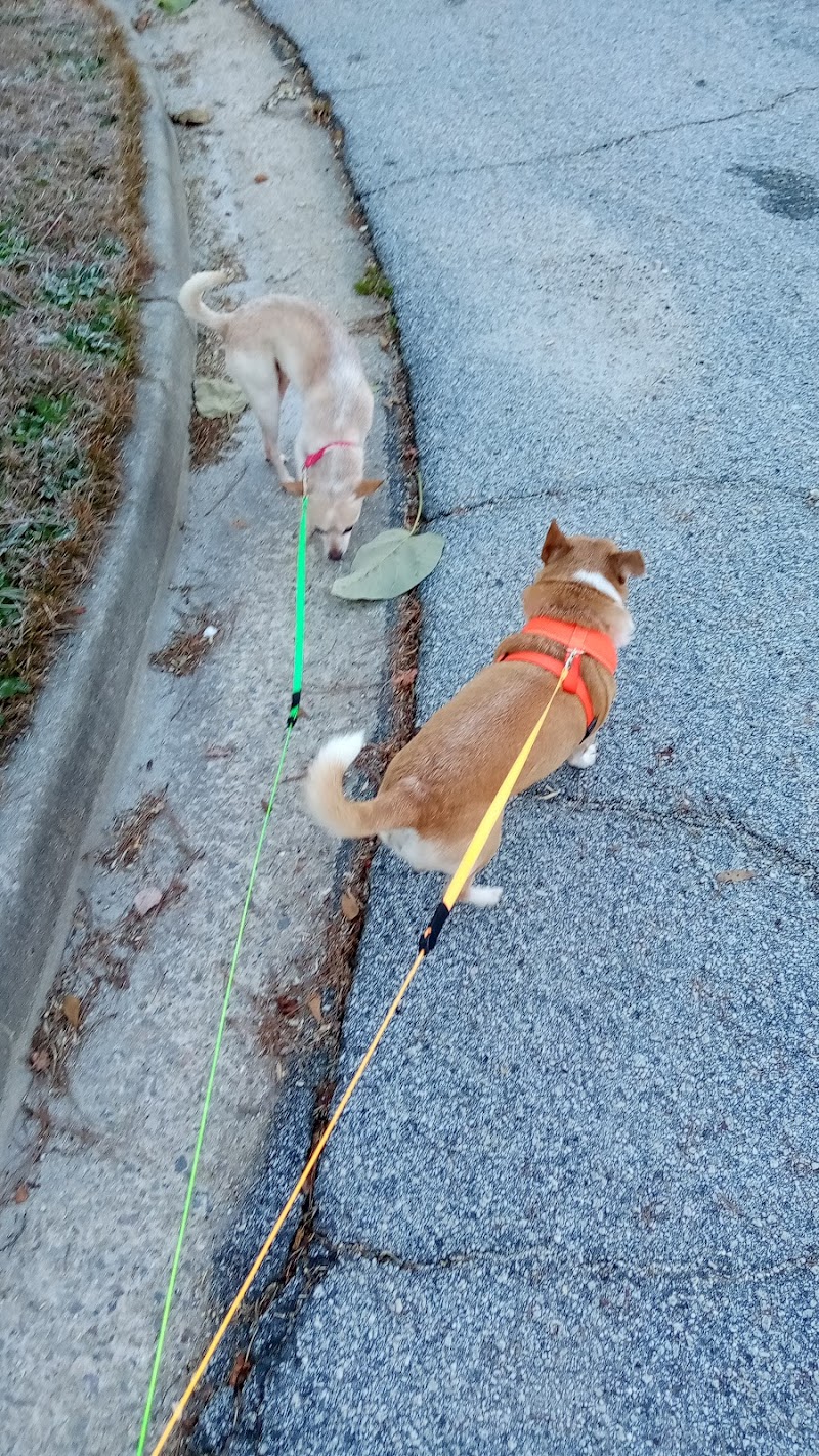 Aiken County Animal Shelter - Aiken, SC