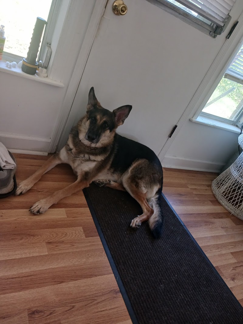 Aiken County Animal Shelter - Aiken, SC