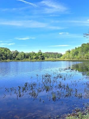 Boyd Pond Bike Trail Parking Lot