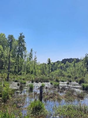 Boyd Pond Bike Trail Parking Lot
