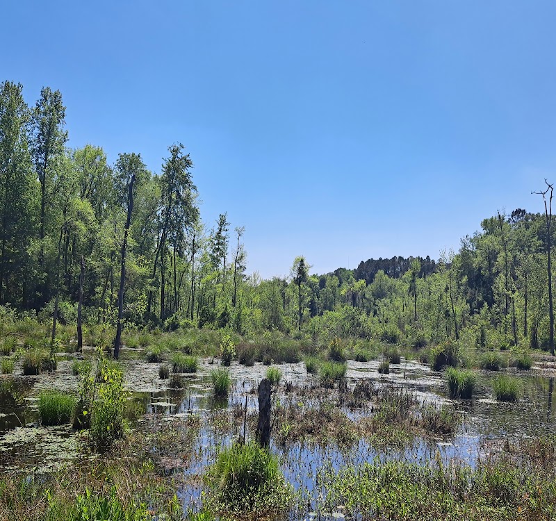 Boyd Pond Bike Trail Parking Lot - Aiken, SC