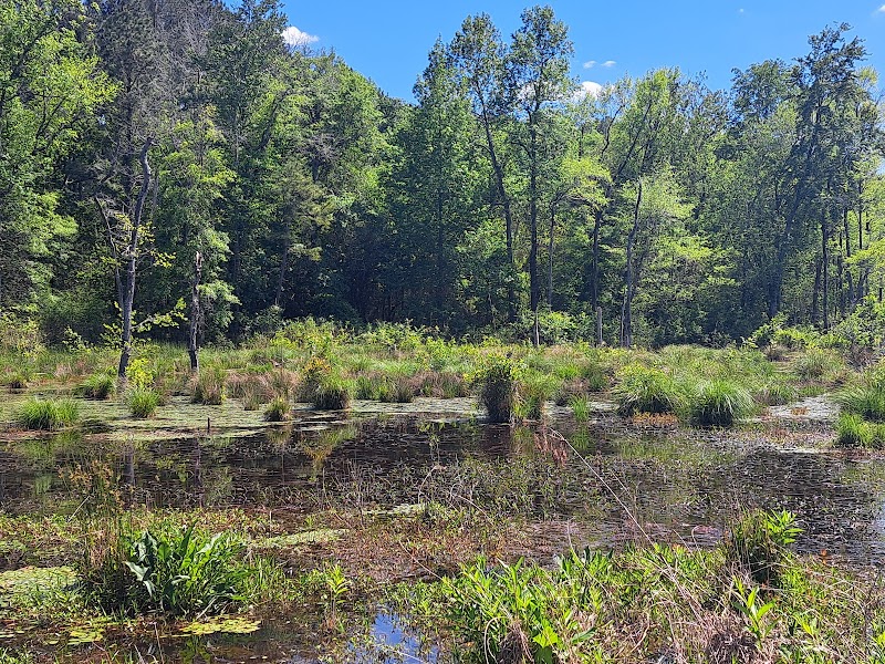 Boyd Pond Bike Trail Parking Lot - Aiken, SC