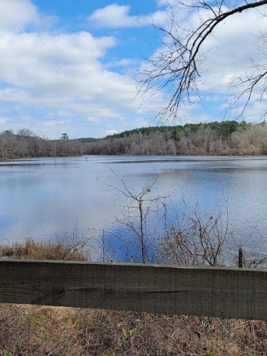 Boyd Pond Park
