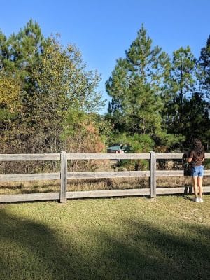 Boyd Pond Park