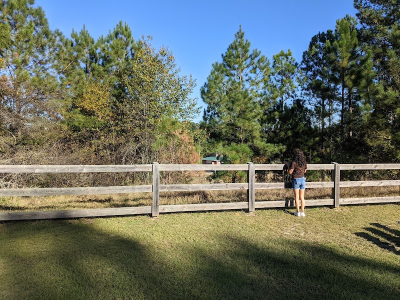 Boyd Pond Park - Aiken, SC